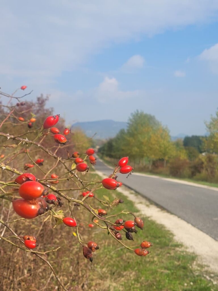 Őszi hosszú hétvége a Balatonnál