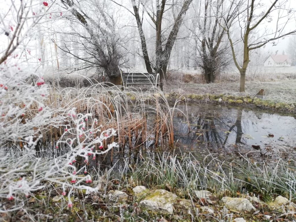 Szilveszteri szállás ajánlat, kirándulás télen a Balatonnál