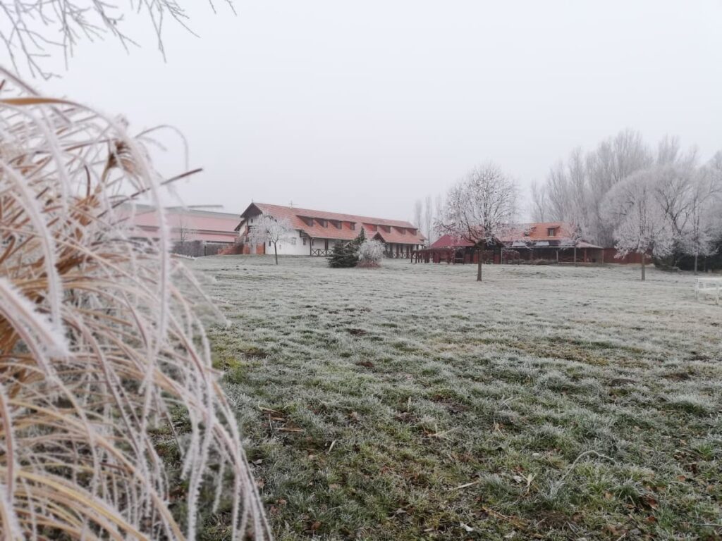 Szilveszteri szállás ajánlat, kirándulás télen a Balatonnál