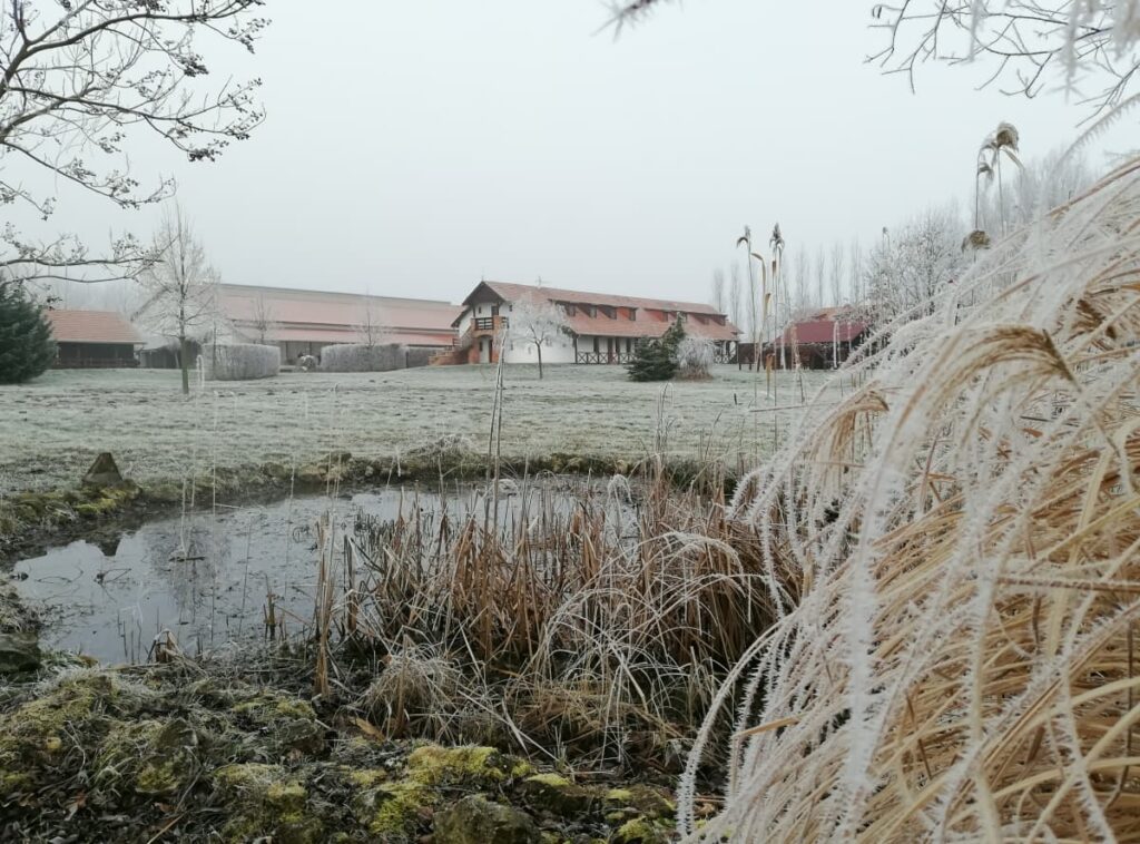 Szilveszteri szállás ajánlat, kirándulás télen a Balatonnál